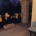 Agriturismo La Cinciallegra